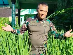 Dandim 0713/Brebes Tanam Padi di Atas Aspal, Dukung Swasembada Pangan Nasional