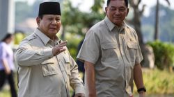Politik kemarin, genjatan senjata Gaza hingga peluang P3K jadi PNS