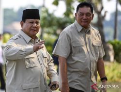 Politik kemarin, genjatan senjata Gaza hingga peluang P3K jadi PNS
