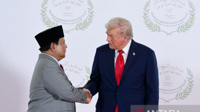 Politik kemarin, Presiden Prabowo di Mesir hingga pujian dari Trump