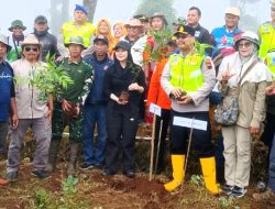 Bupati Brebes Paramitha Widya Kusuma Pimpin Penanaman 1.000 Pohon di Petak 24 Paguyangan