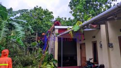 Cuaca Ekstrem di Gunungkidul: Pohon Tumbang Timpa Rumah Warga Gading