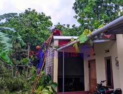 Cuaca Ekstrem di Gunungkidul: Pohon Tumbang Timpa Rumah Warga Gading