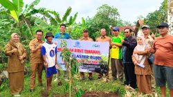 Pemkab Brebes Perluas Program Bibit Durian Musang King dan Alpukat di Kecamatan Paguyangan Tahun 2026