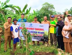 Pemkab Brebes Perluas Program Bibit Durian Musang King dan Alpukat di Kecamatan Paguyangan Tahun 2026