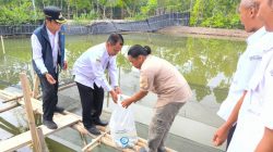 Pemkab Brebes Serahkan 105 Ribu Benih Kakap Putih – Harapan Baru bagi Pembudidaya Pesisir