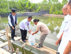 Pemkab Brebes Serahkan 105 Ribu Benih Kakap Putih – Harapan Baru bagi Pembudidaya Pesisir