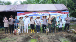 Wabup Brebes Hadiri Penanaman Jagung Serentak Bersama Polres, Dukung Swasembada Pangan