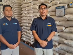 Stok Beras Melimpah, Bulog Pastikan Ketahanan Pangan Nasional Aman