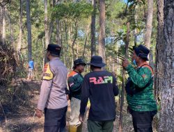 Kebakaran Lahan Perhutani di Winduaji Brebes, Api Dipadamkan dalam 30 Menit